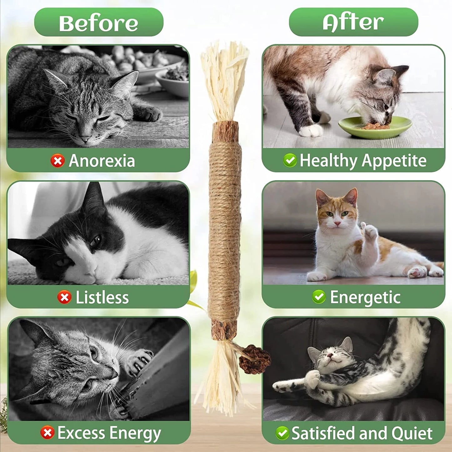 Catnip 4 Pieces Silver Vine Cat Chew Toys Cats Clean Teeth Chews for Stress Relief