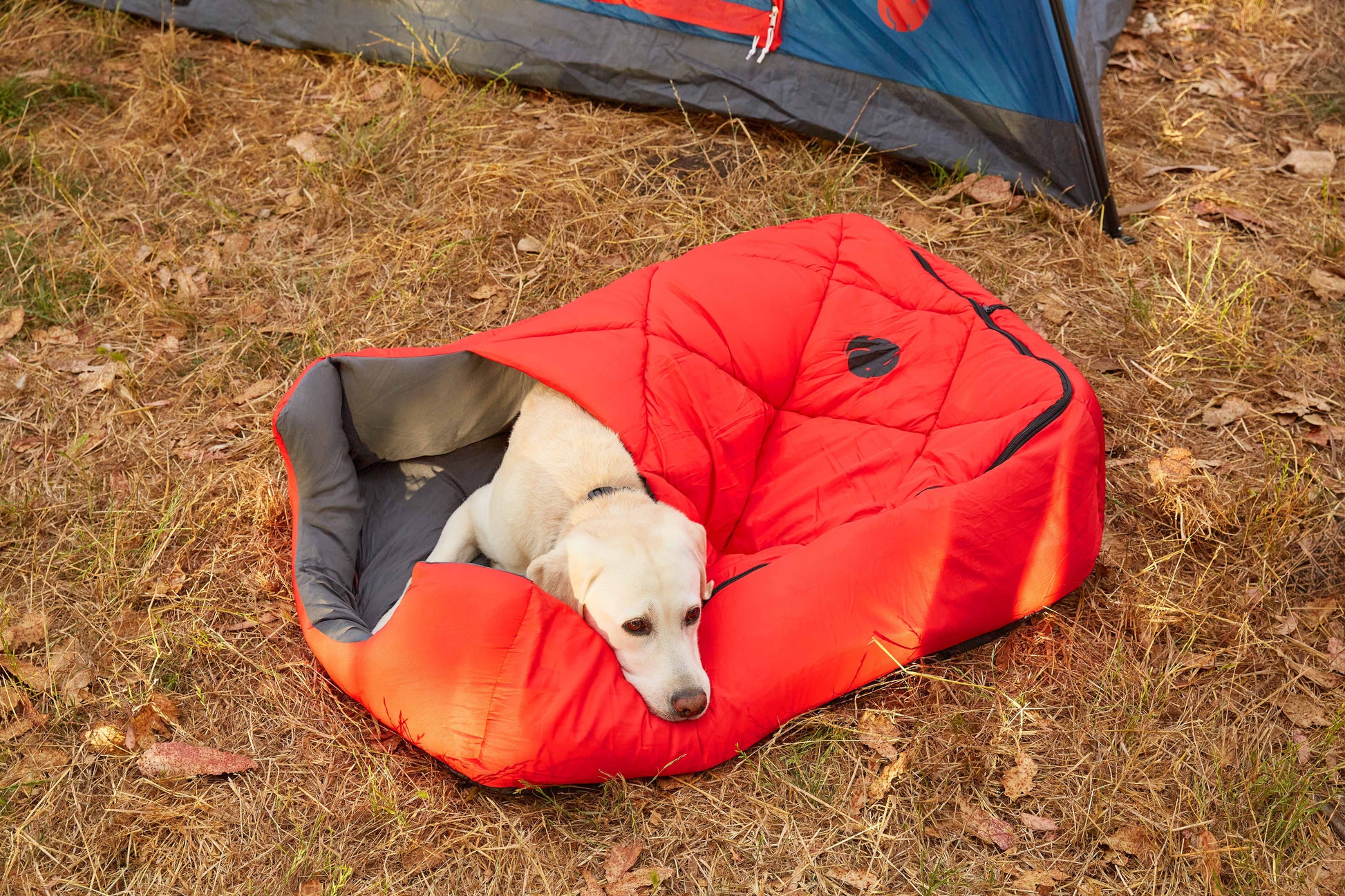 Pet Sleeping Bag (Sm/Blue) with Zippered Cover for Travel, Camping, Backpacking, Hiking | Good for Small and Large Pets | Use as Pet Beds, Pet Mats or Pet Blanket
