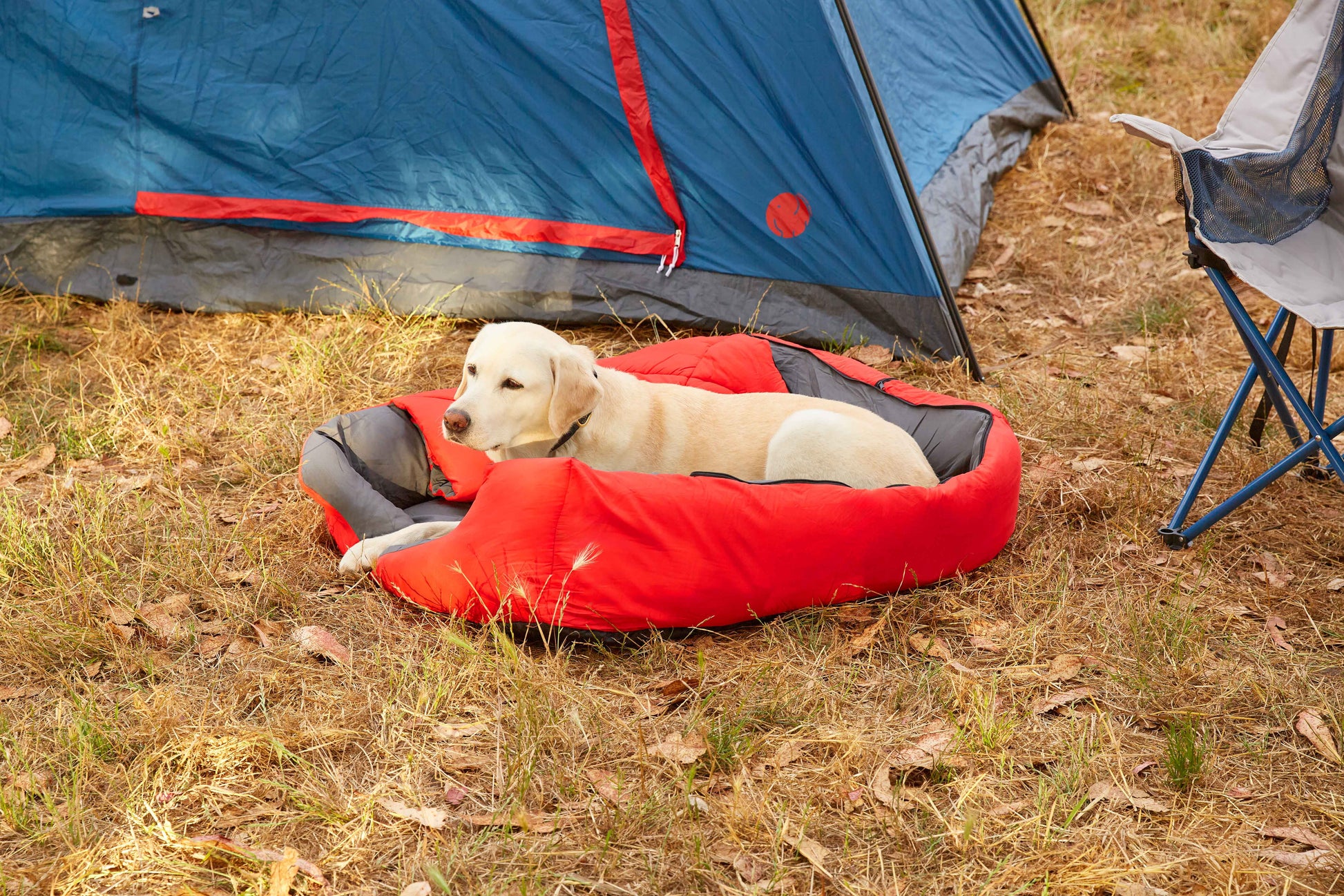 Pet Sleeping Bag (Sm/Blue) with Zippered Cover for Travel, Camping, Backpacking, Hiking | Good for Small and Large Pets | Use as Pet Beds, Pet Mats or Pet Blanket