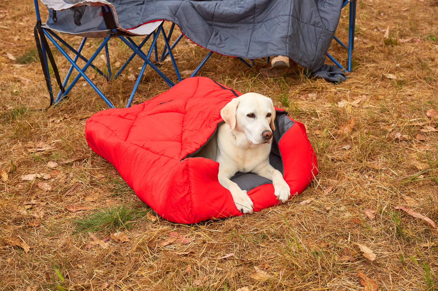 Pet Sleeping Bag (Sm/Blue) with Zippered Cover for Travel, Camping, Backpacking, Hiking | Good for Small and Large Pets | Use as Pet Beds, Pet Mats or Pet Blanket