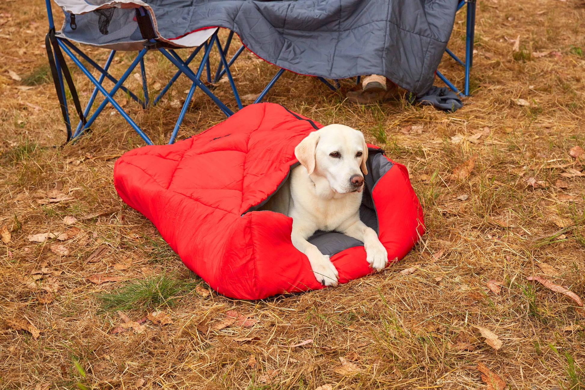 Pet Sleeping Bag (Sm/Blue) with Zippered Cover for Travel, Camping, Backpacking, Hiking | Good for Small and Large Pets | Use as Pet Beds, Pet Mats or Pet Blanket