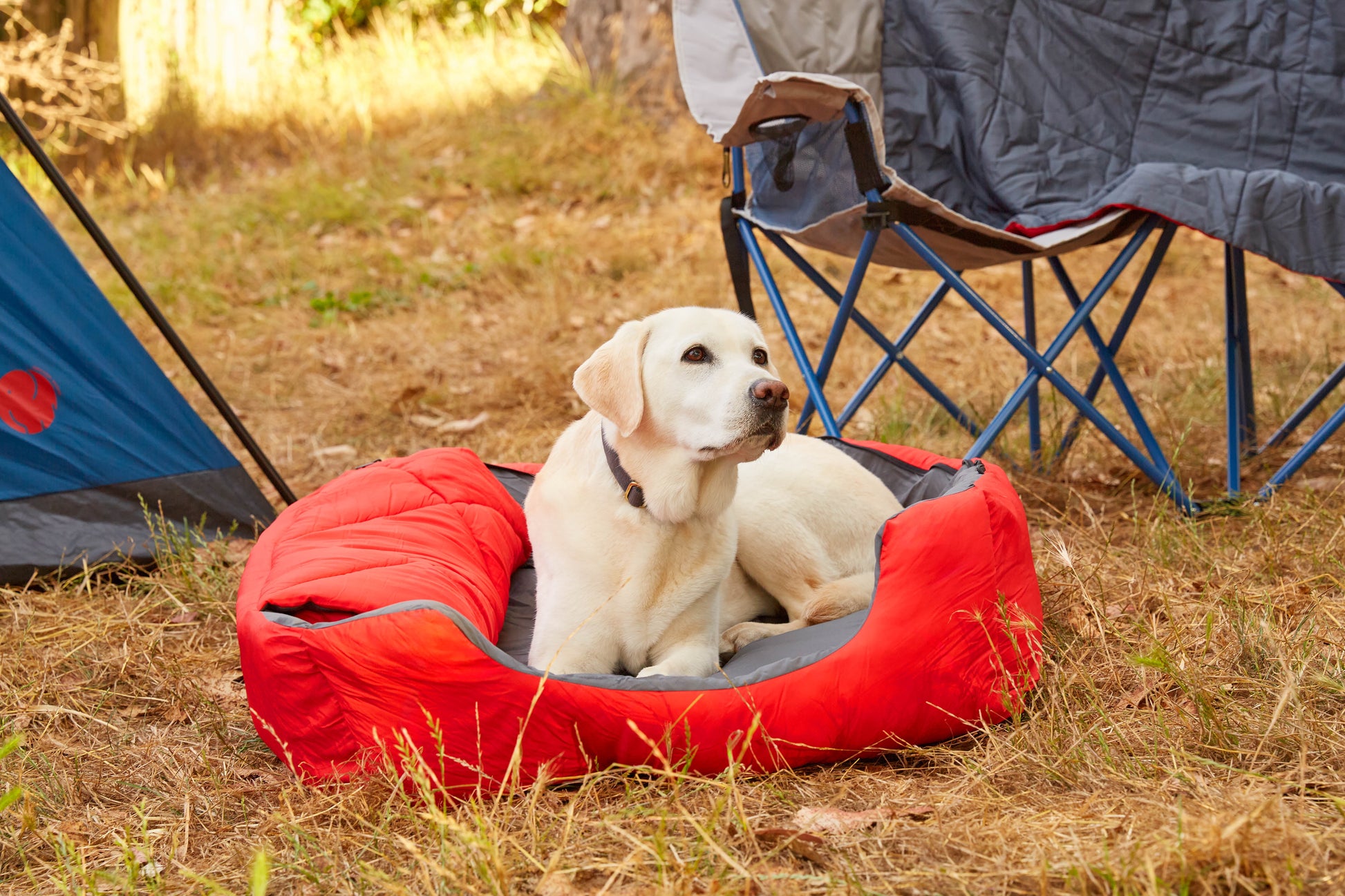 Pet Sleeping Bag (Sm/Blue) with Zippered Cover for Travel, Camping, Backpacking, Hiking | Good for Small and Large Pets | Use as Pet Beds, Pet Mats or Pet Blanket
