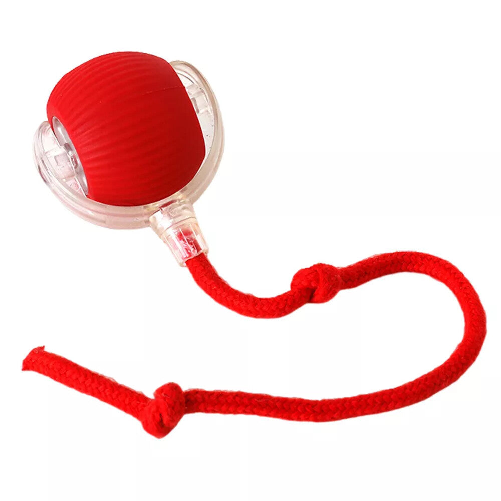 Automatic Rolling Ball Smart Cat Dog Toy Electric Pet Interactive Self-Moving