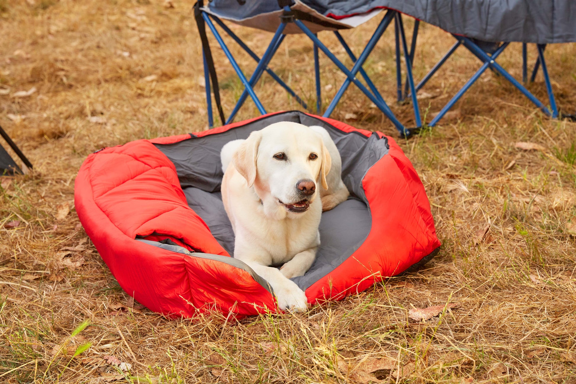 Pet Sleeping Bag (Sm/Blue) with Zippered Cover for Travel, Camping, Backpacking, Hiking | Good for Small and Large Pets | Use as Pet Beds, Pet Mats or Pet Blanket