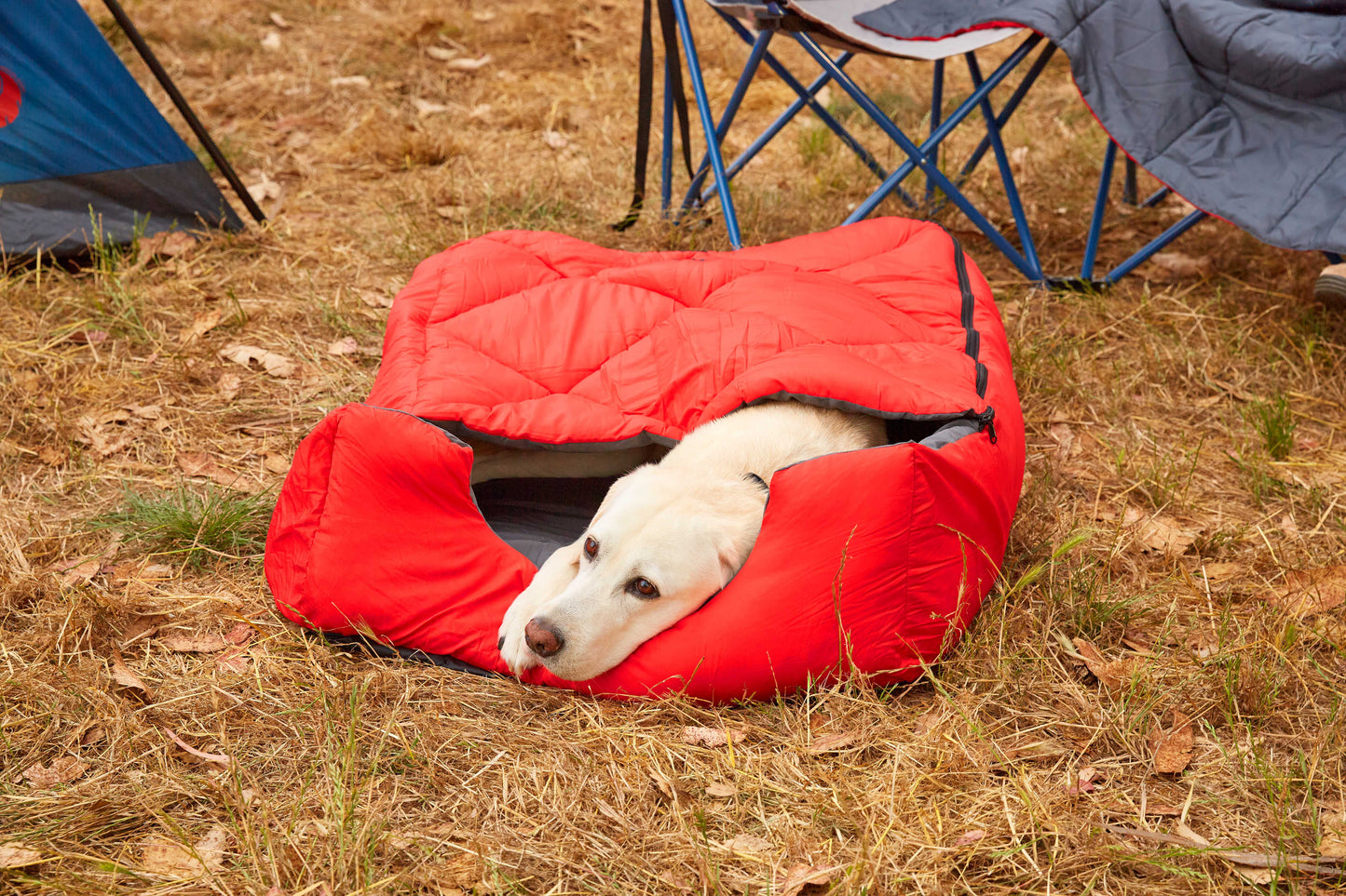 Pet Sleeping Bag (Sm/Blue) with Zippered Cover for Travel, Camping, Backpacking, Hiking | Good for Small and Large Pets | Use as Pet Beds, Pet Mats or Pet Blanket