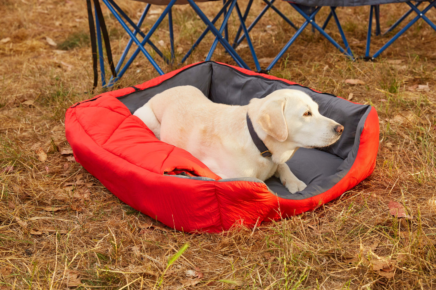Pet Sleeping Bag (Sm/Blue) with Zippered Cover for Travel, Camping, Backpacking, Hiking | Good for Small and Large Pets | Use as Pet Beds, Pet Mats or Pet Blanket